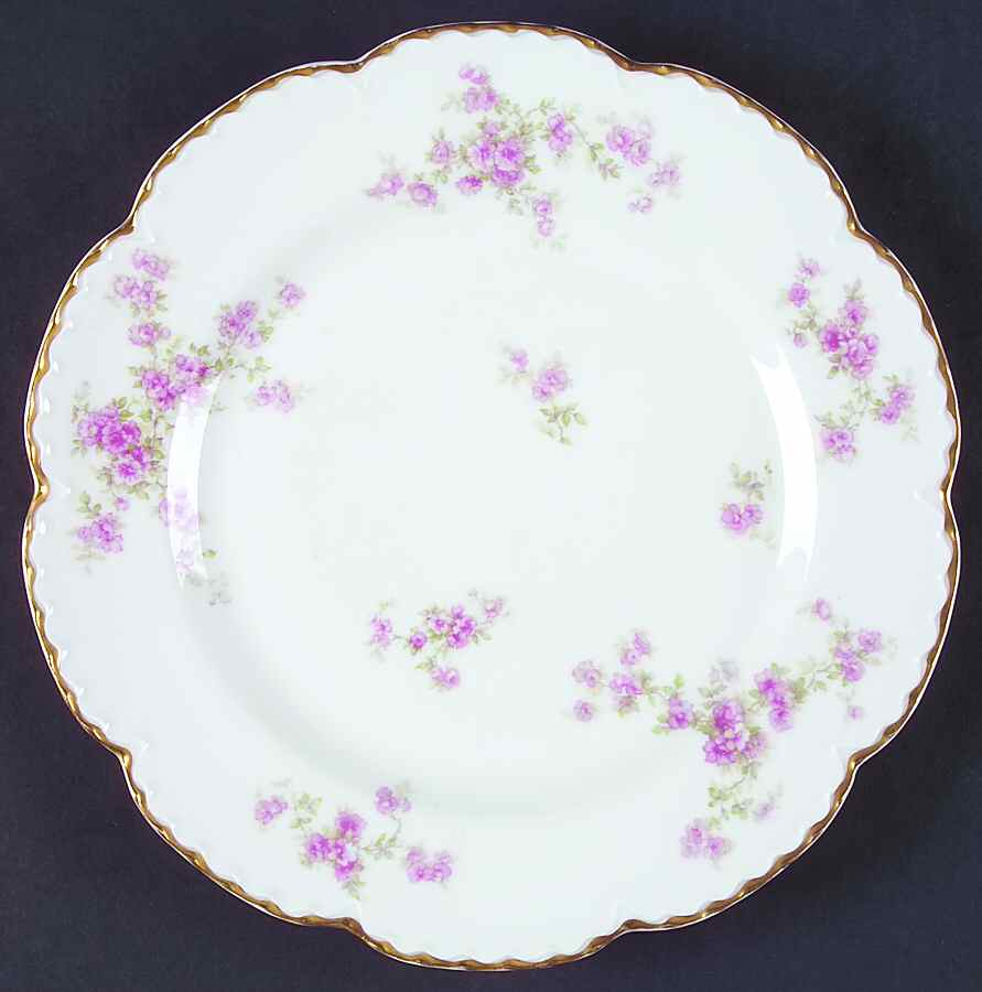 Schleiger 67p Dinner Plate by Haviland-1