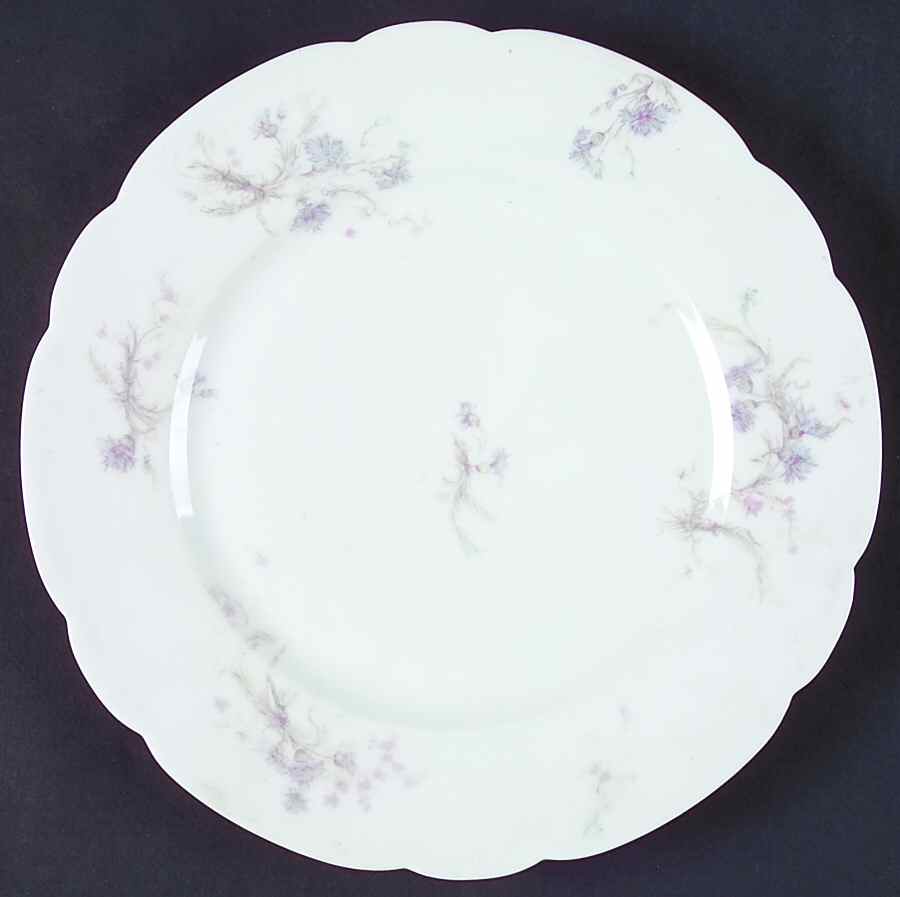 Schleiger 70H Dinner Plate by Haviland-1