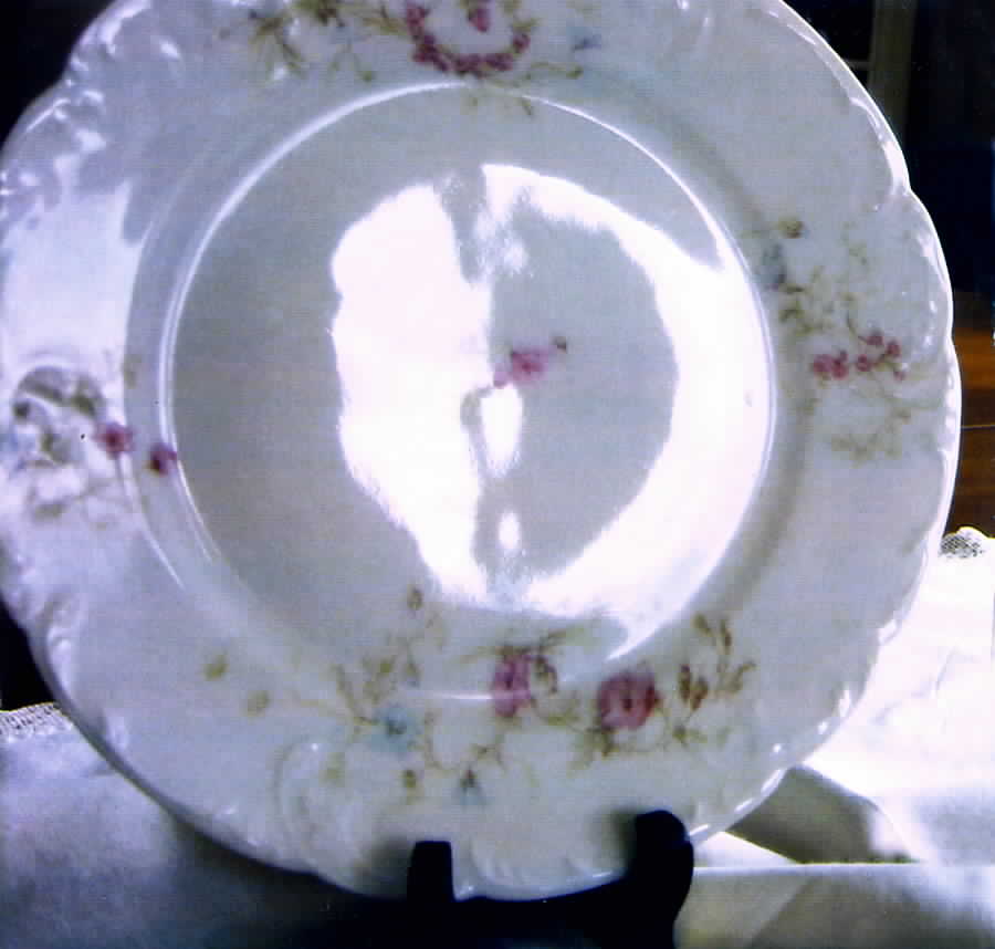 Schleiger 71D Salad Plate by Haviland-1
