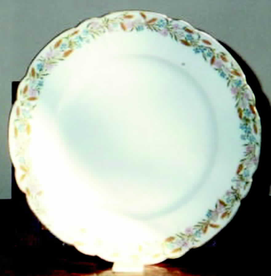 H1284 Dinner Plate by Haviland-1