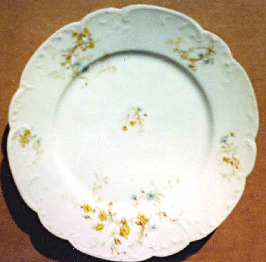 Schleiger 71e Dinner Plate by Haviland-1