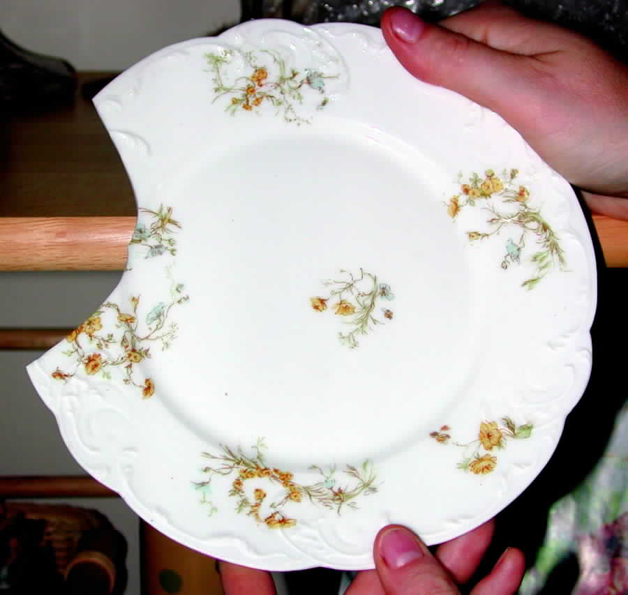 Schleiger 71G Salad Plate by Haviland-1