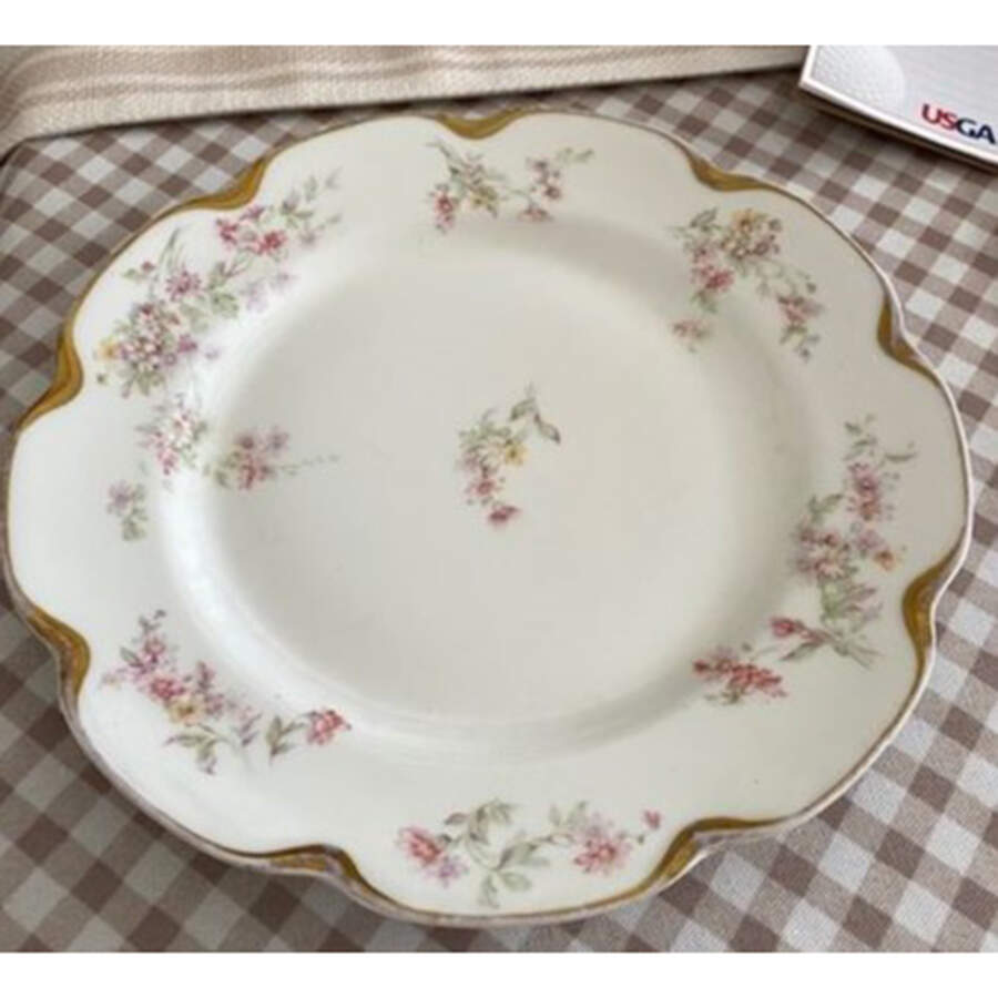 Schleiger 75c Dinner Plate by Haviland-1