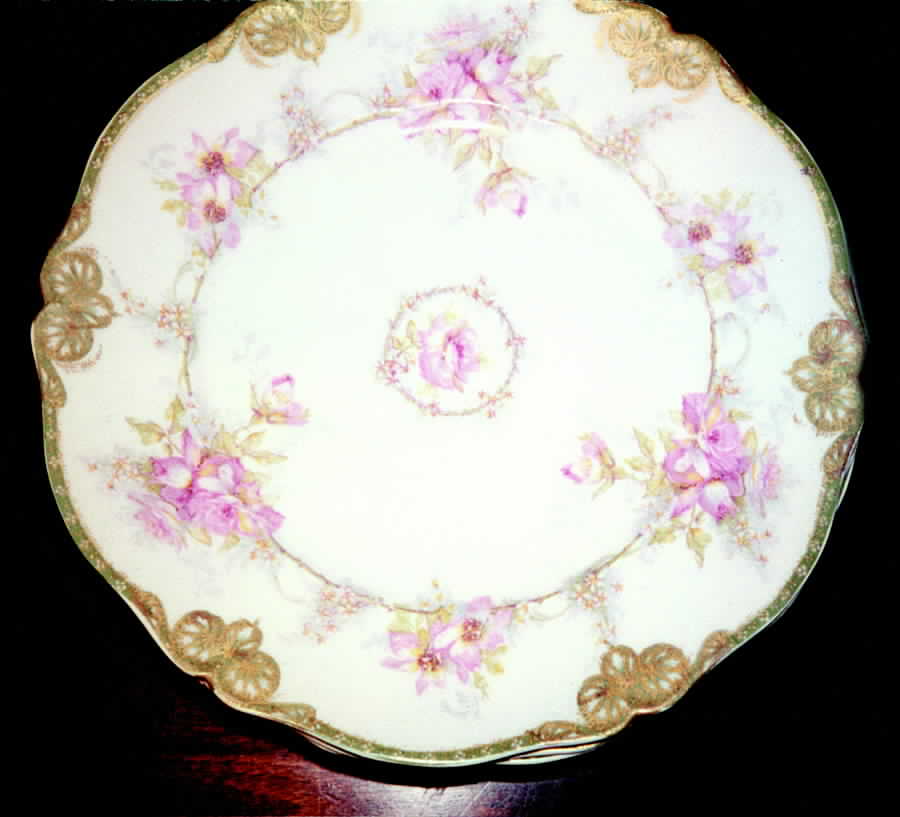 Schleiger 1067a Salad Plate by Haviland-1