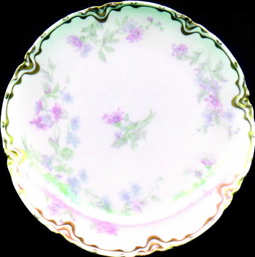 Schleiger 75j Coupe Salad Plate by Haviland-1