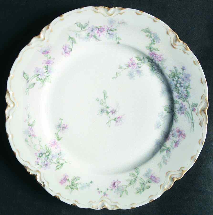 Schleiger 75j Salad Plate by Haviland-1