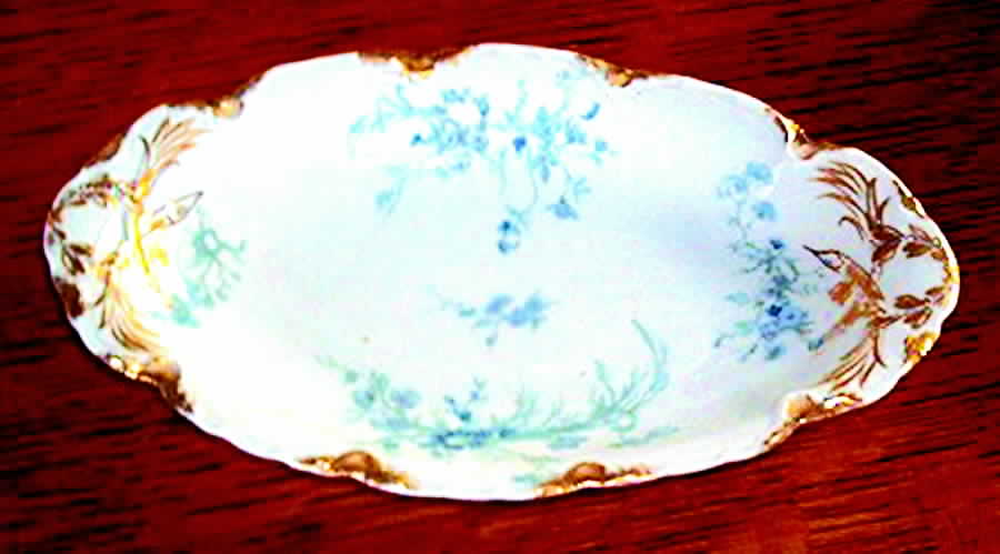 Schleiger 78q Relish by Haviland-1
