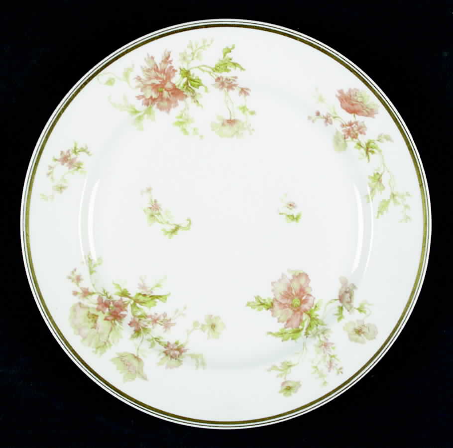 Schleiger 79i Dinner Plate by Haviland-1