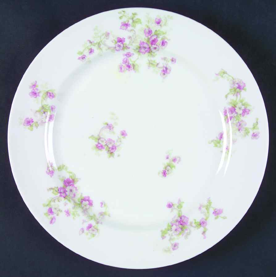 Schleiger 80c Dinner Plate by Haviland-1