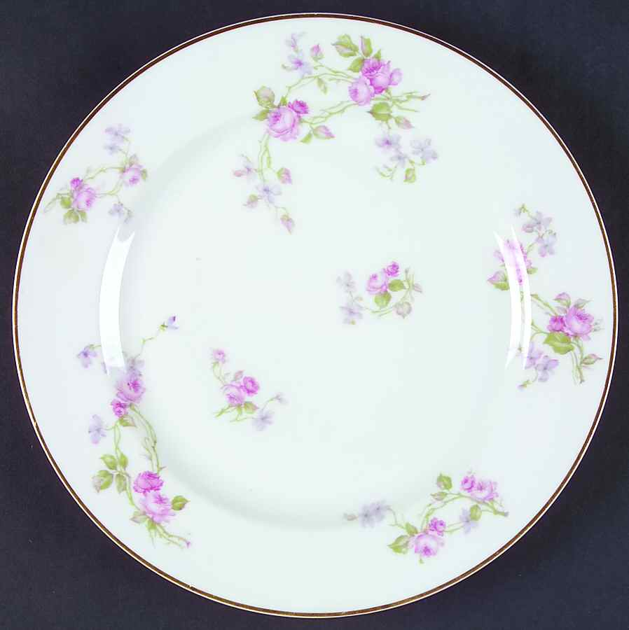 Schleiger 87A Dinner Plate by Haviland-1