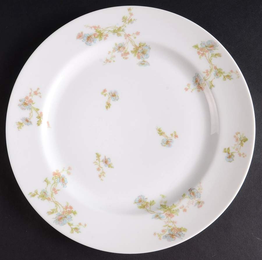 Schleiger 90h Dinner Plate by Haviland-1