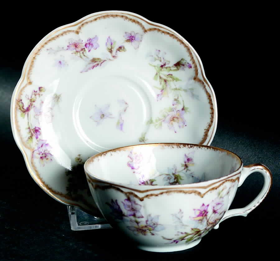 Schleiger 91g Flat Demitasse Cup & Saucer Set by Haviland-1