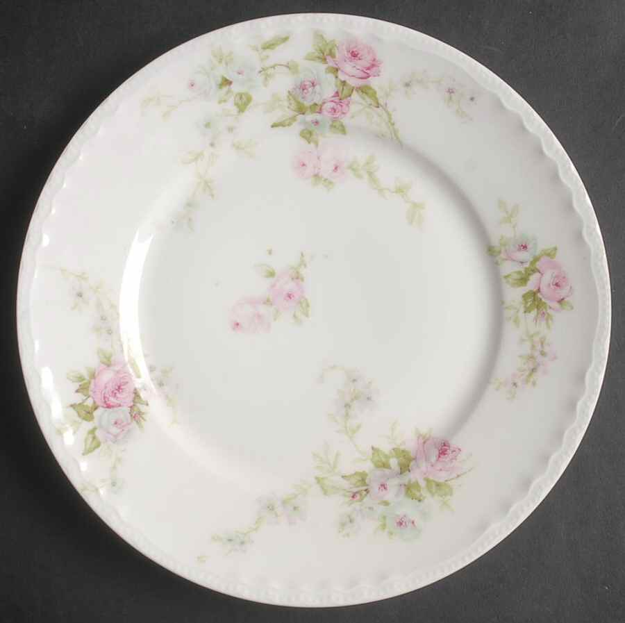 Schleiger 137c Salad Plate by Haviland-1