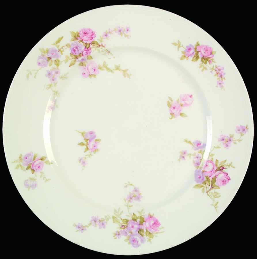 Schleiger 137m Dinner Plate by Haviland-1