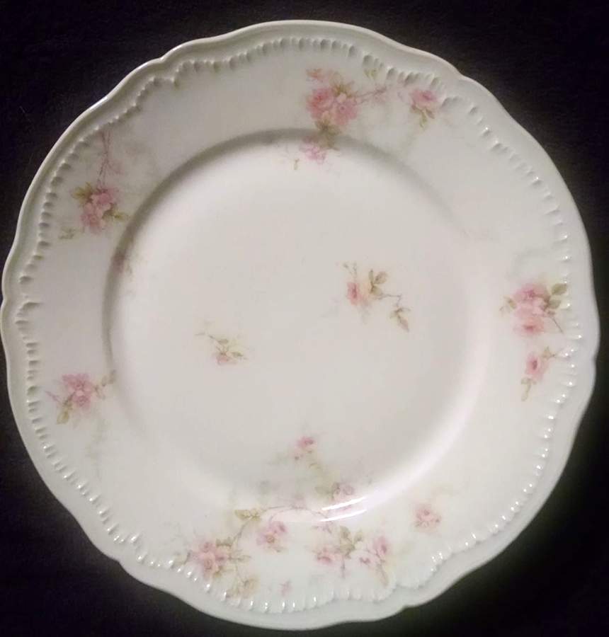 Schleiger 141c Dinner Plate by Haviland-1
