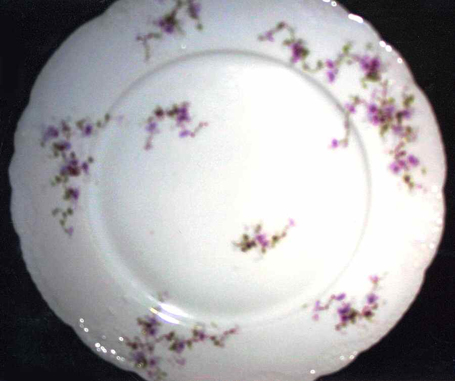 Schleiger 159 Dinner Plate by Haviland-1