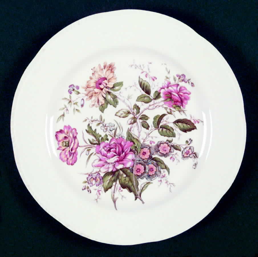 HLC1202 Dinner Plate by Homer Laughlin -1