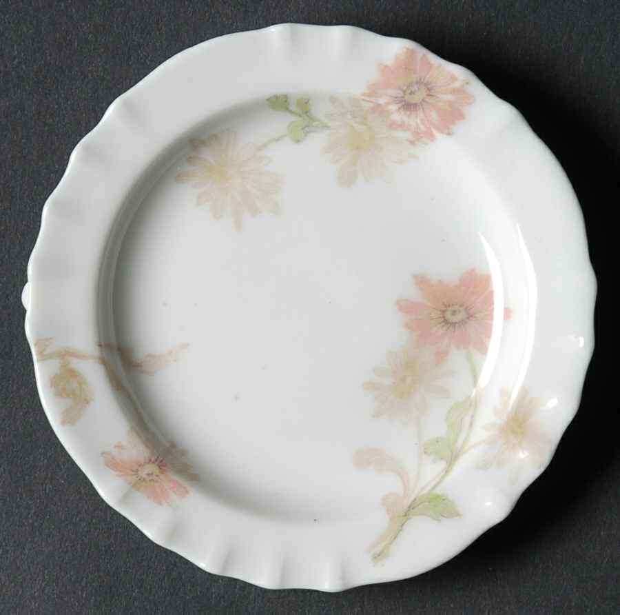 Schleiger 164e Butter Pat by Haviland-1