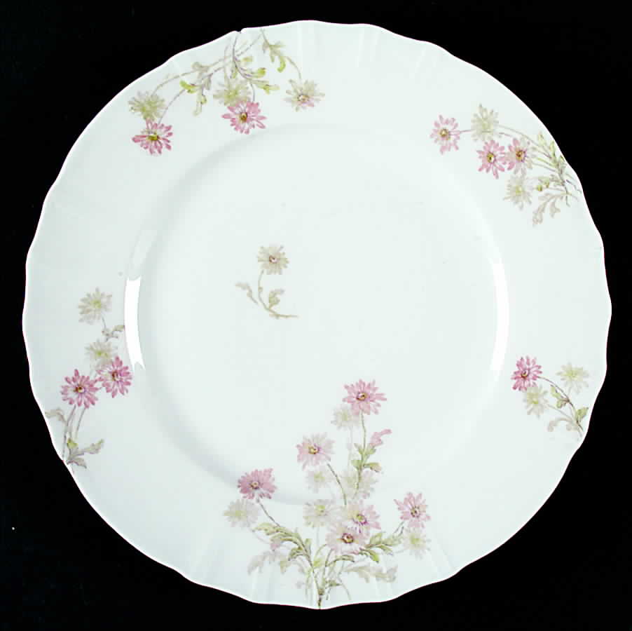 Schleiger 164k Dinner Plate by Haviland-1