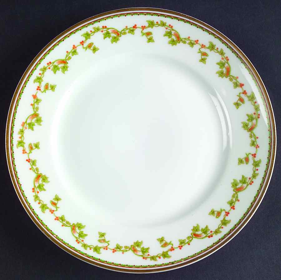 Schleiger 168a Salad Plate by Haviland-1