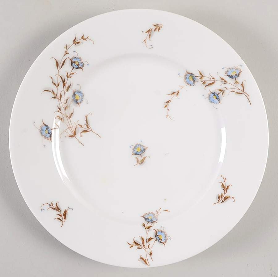H1309 Salad Plate by Haviland-1