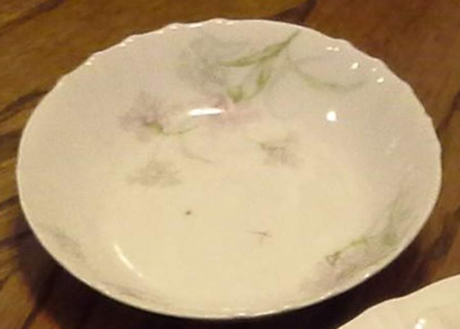 Schleiger 1035a Fruit/Dessert (Sauce) Bowl by Haviland-1