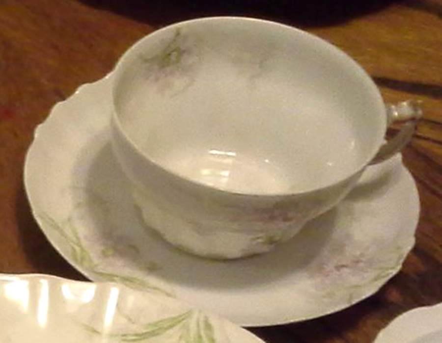Schleiger 1035a Flat Cup & Saucer Set by Haviland-1