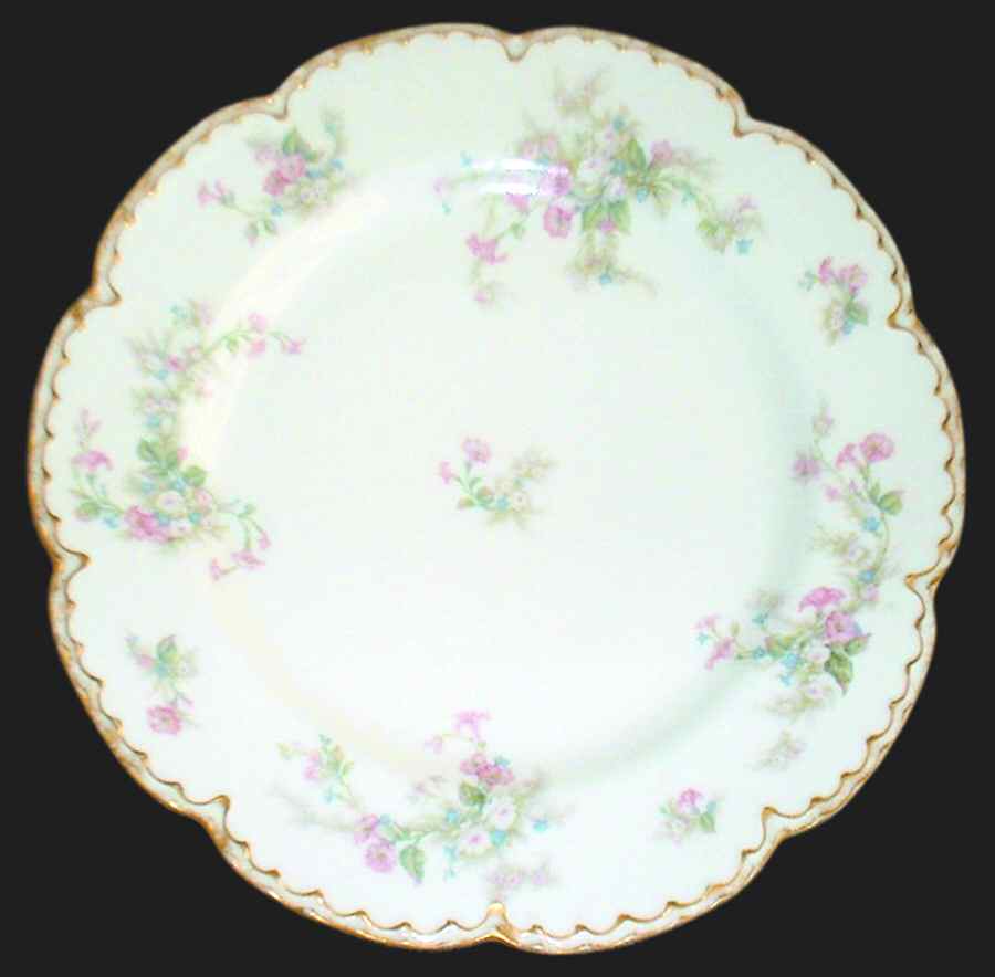 Schleiger 220c Dinner Plate by Haviland-1