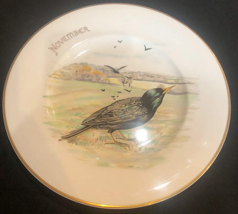 Country Diary of An Edwardian Lad Luncheon Plate by Heinrich - H&C-1