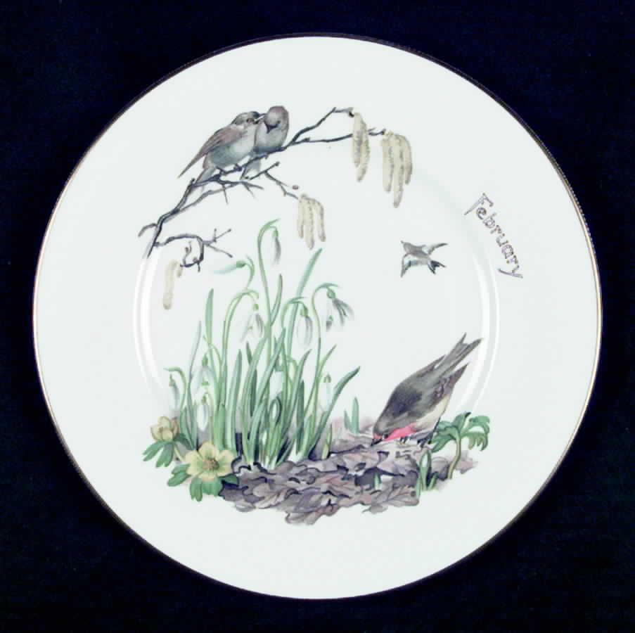 Country Diary of An Edwardian Lad Salad Plate by Heinrich - H&C-1