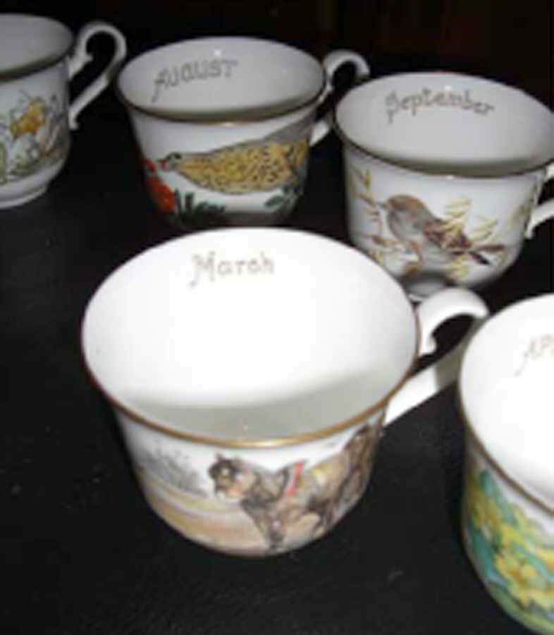 Country Diary of An Edwardian Lad Flat Cup by Heinrich - H&C-1