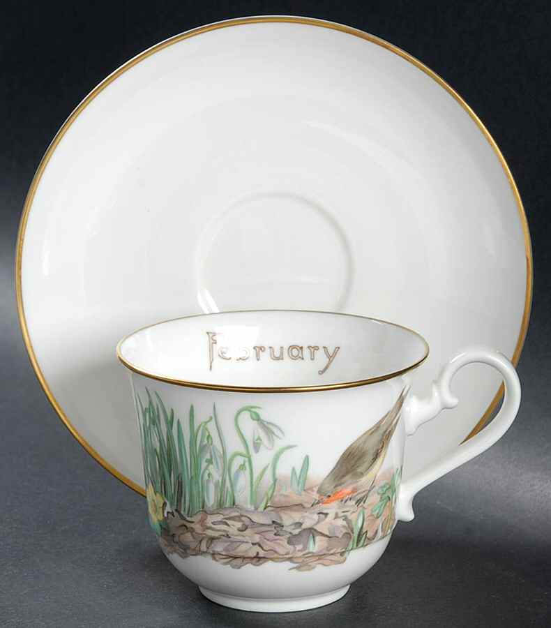 Country Diary of An Edwardian Lad Flat Cup & Saucer Set by Heinrich - H&C-1