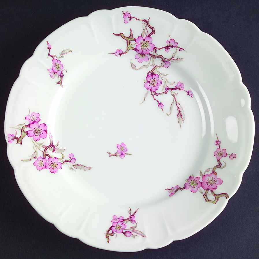Schleiger 222E Dessert/Pie Plate by Haviland-1