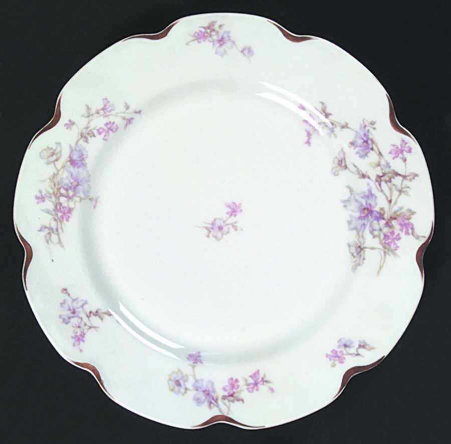 Schleiger 224n Dinner Plate by Haviland-1