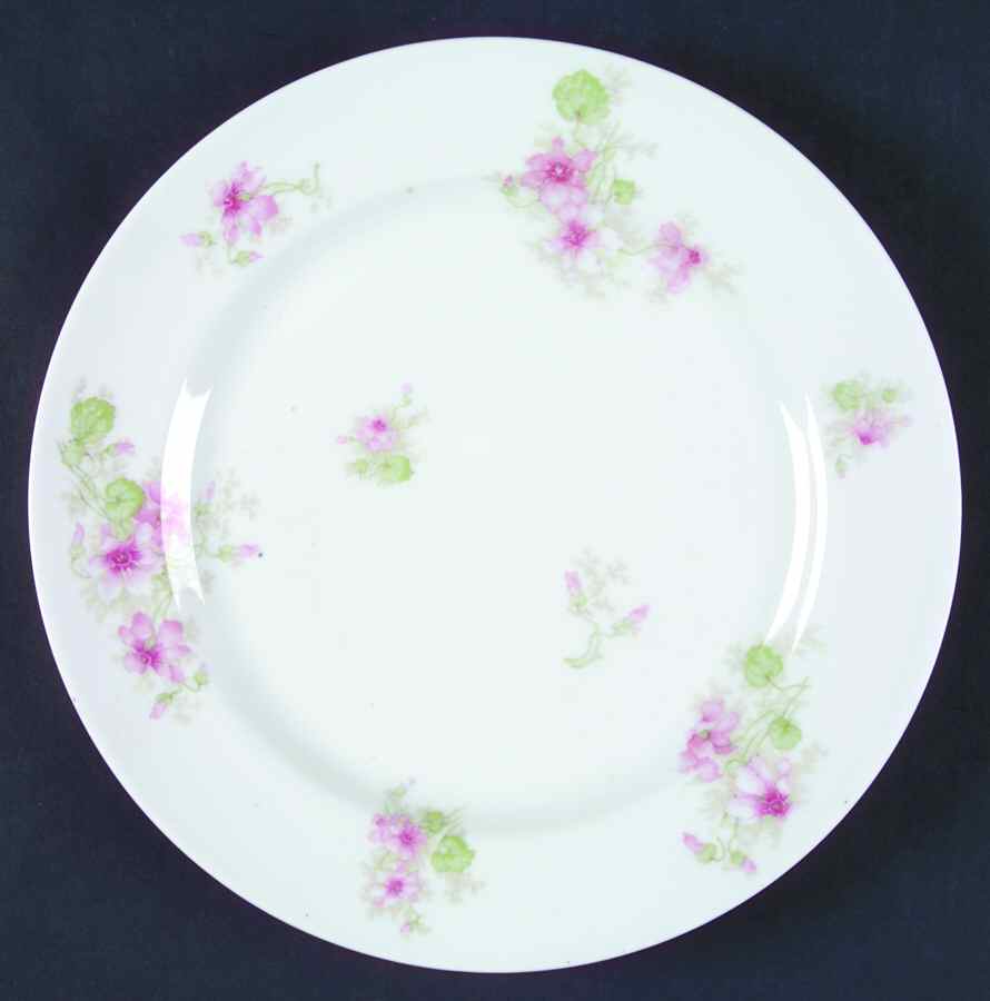 Schleiger 227h Dinner Plate by Haviland-1