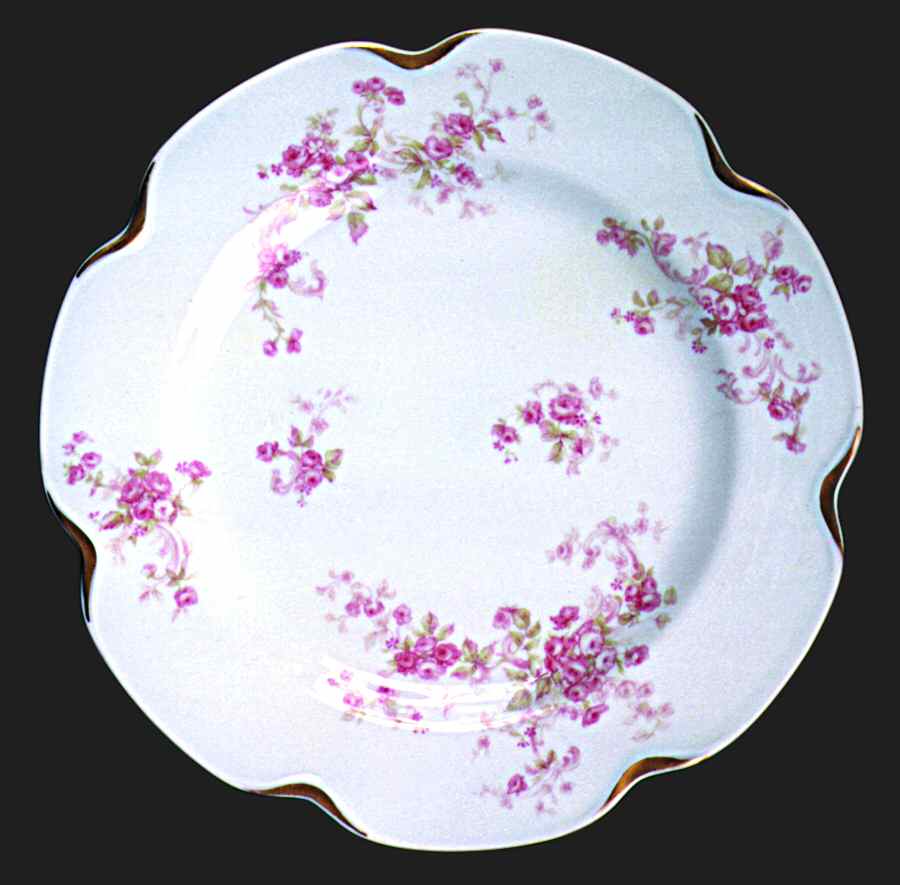 Schleiger 228n Salad Plate by Haviland-1