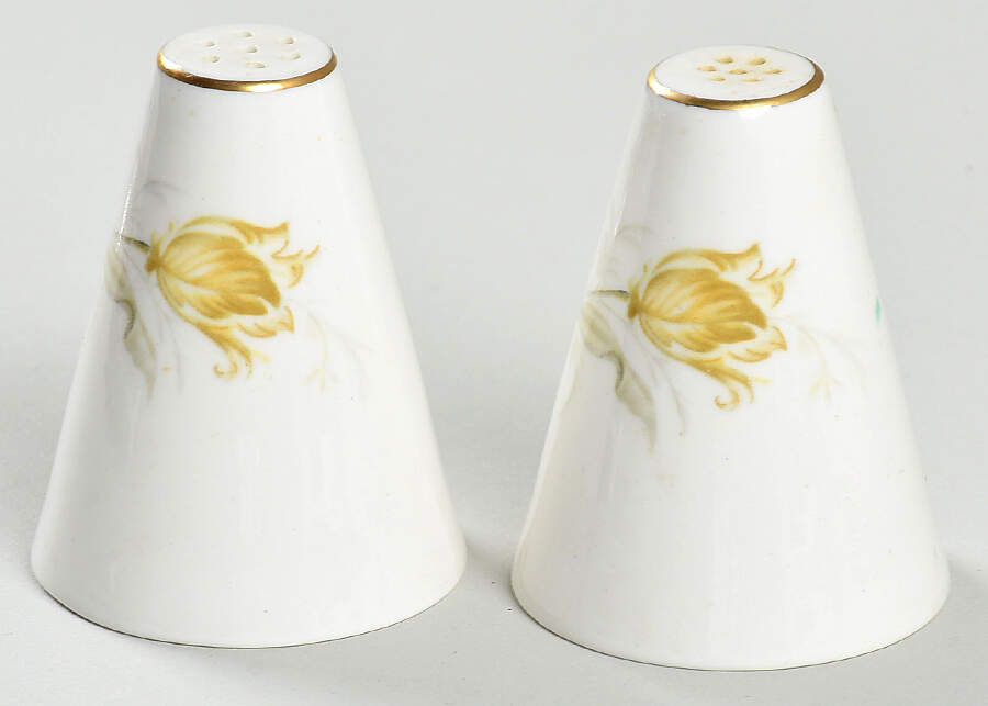 Plume Salt & Pepper Set by Homer Laughlin -1