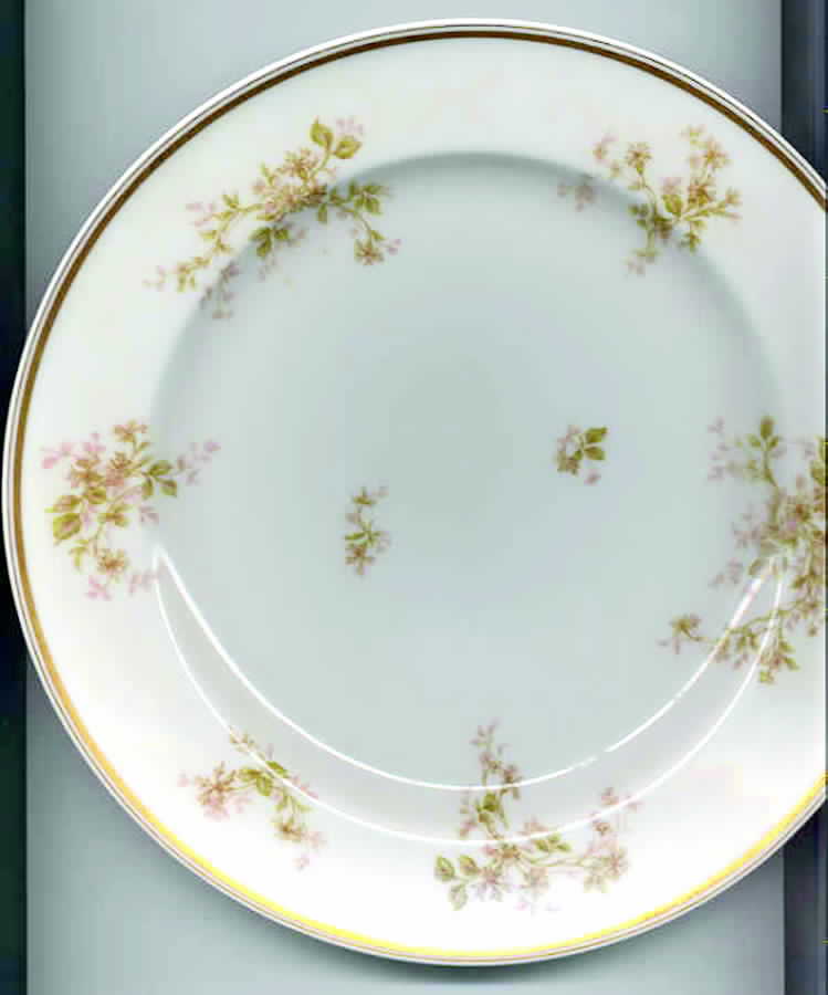 Schleiger 230-2 Dinner Plate by Haviland-1