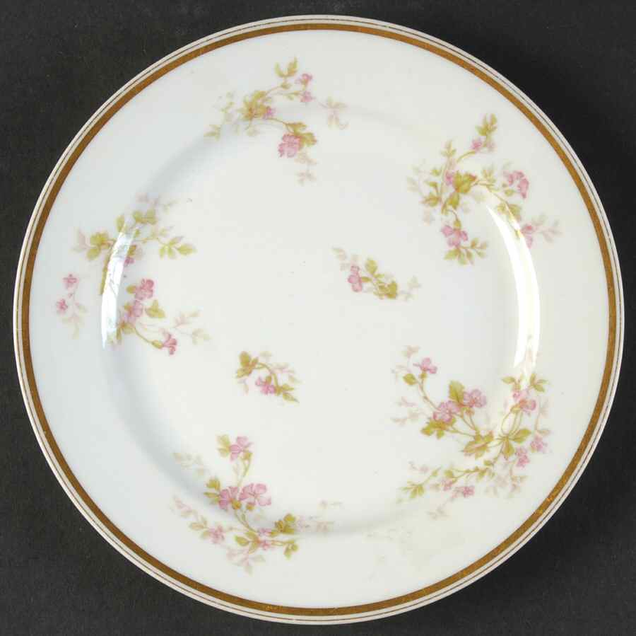 Schleiger 230-2 Salad Plate by Haviland-1