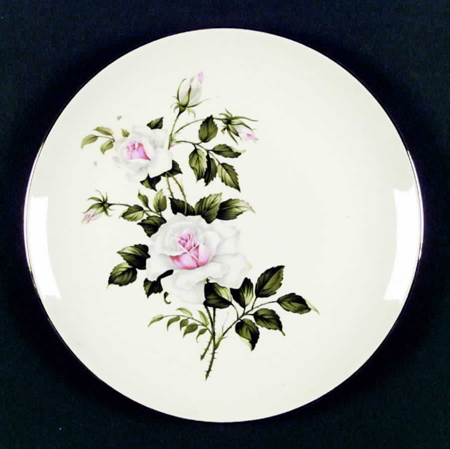 HLC1310 Dinner Plate by Homer Laughlin -1