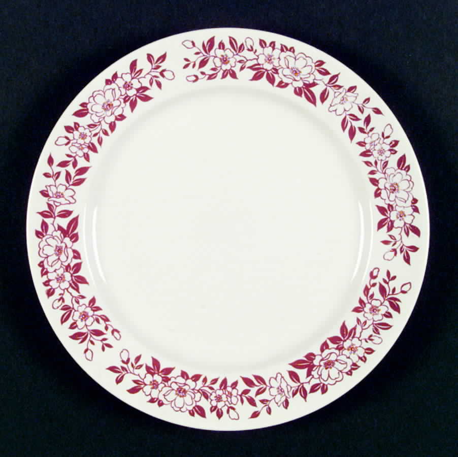 HLC1320 Dinner Plate by Homer Laughlin -1