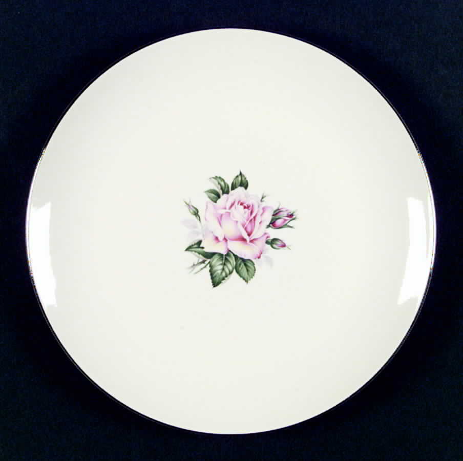 HLC1329 Dinner Plate by Homer Laughlin -1