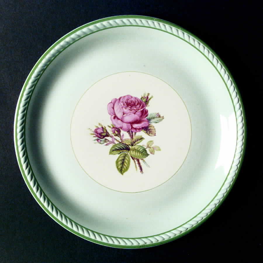 HLC1340 Dinner Plate by Homer Laughlin -1