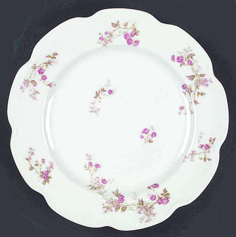 Schleiger 242j Dinner Plate by Haviland-1