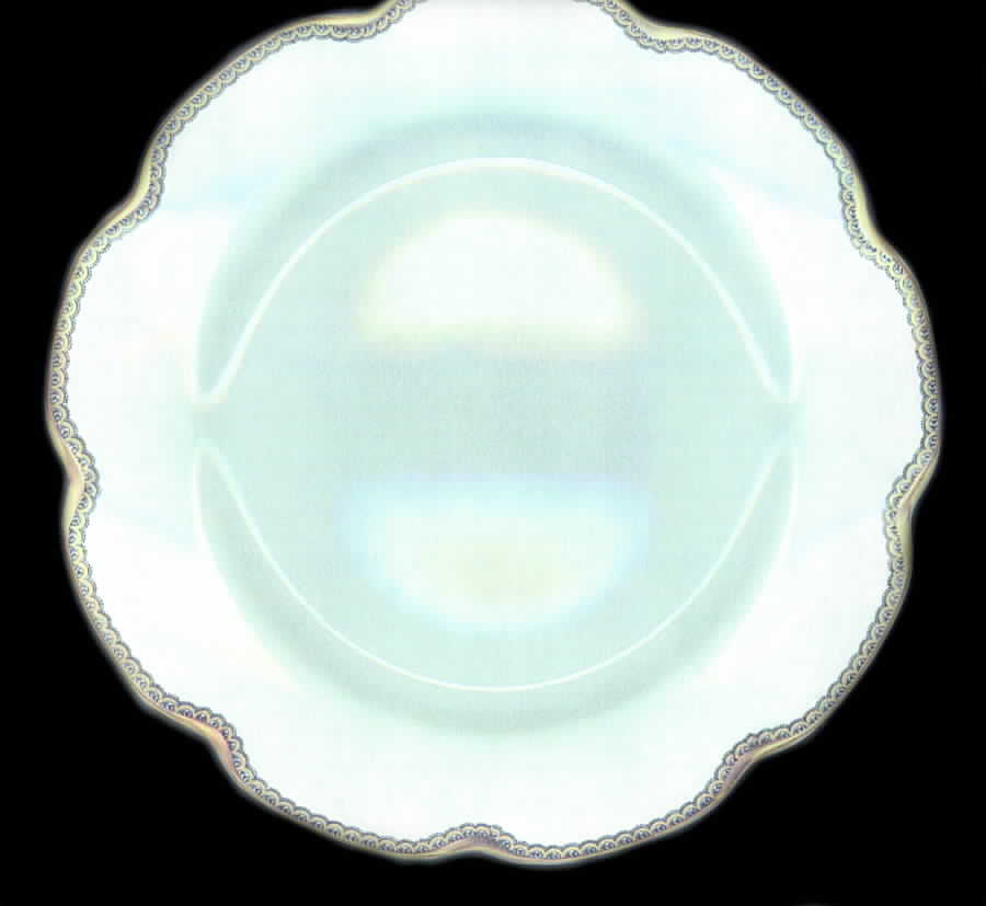 Schleiger 757 Dinner Plate by Haviland-1
