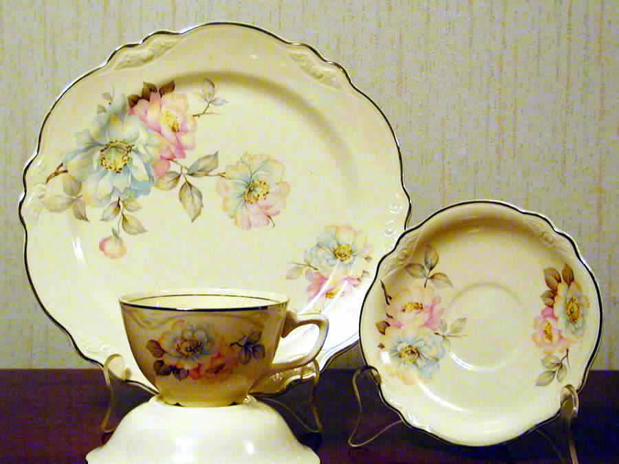 Pastel Wood Rose Flat Cup & Saucer Set by Homer Laughlin -1