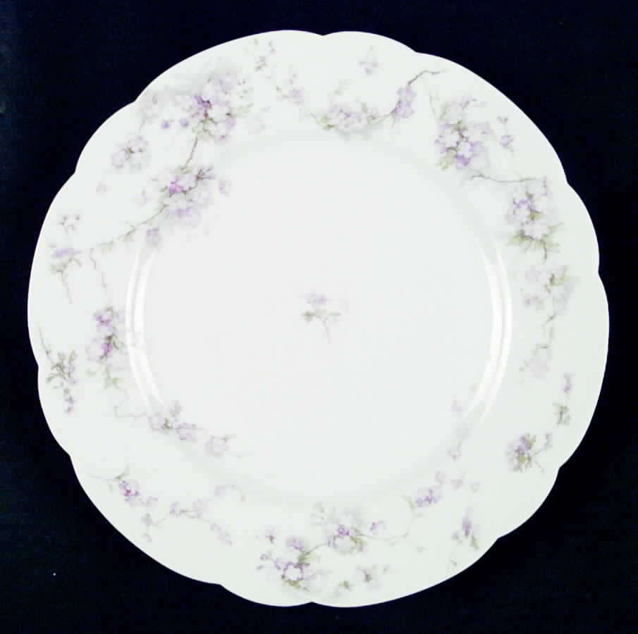 Schleiger 248HZ Dinner Plate by Haviland-1