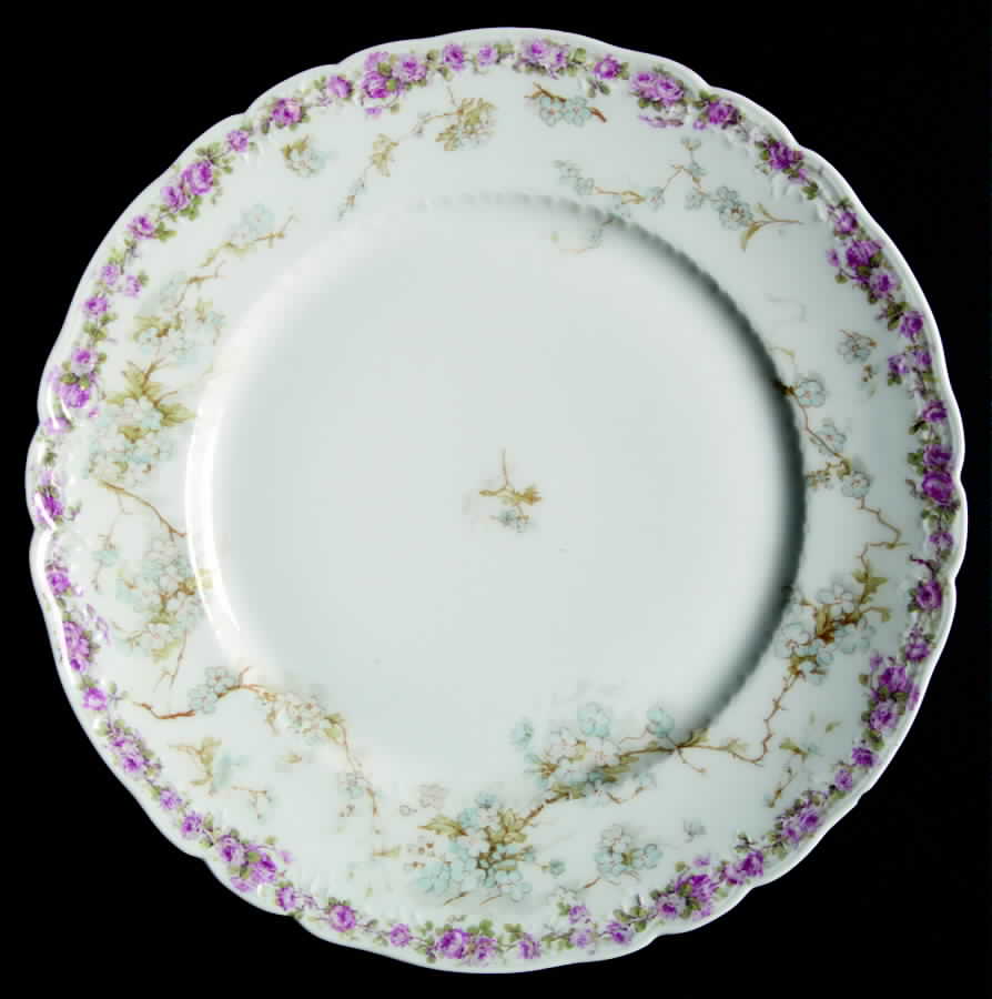 Schleiger 248IZ Dinner Plate by Haviland-1