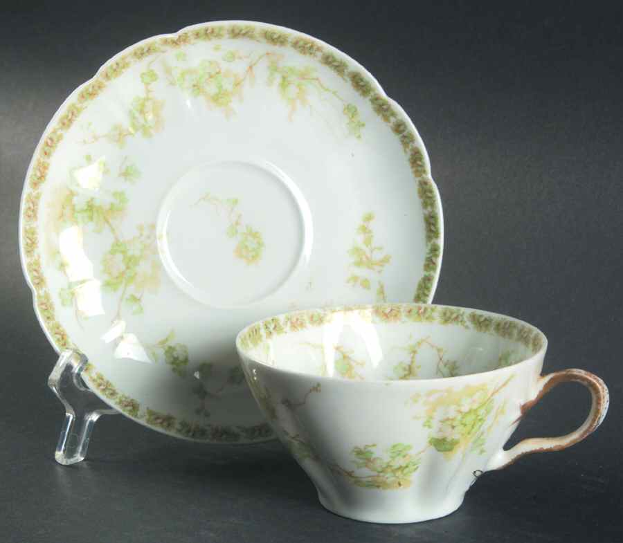 Schleiger 248OZ Flat Cup & Saucer Set by Haviland-1