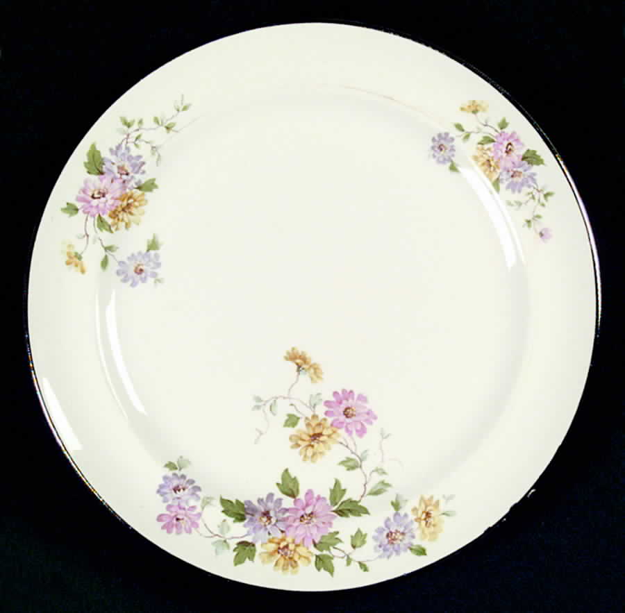 HLC1345 Dinner Plate by Homer Laughlin -1